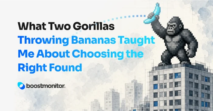 What Two Gorillas Throwing Bananas Taught Me About Choosing the Right Foundation